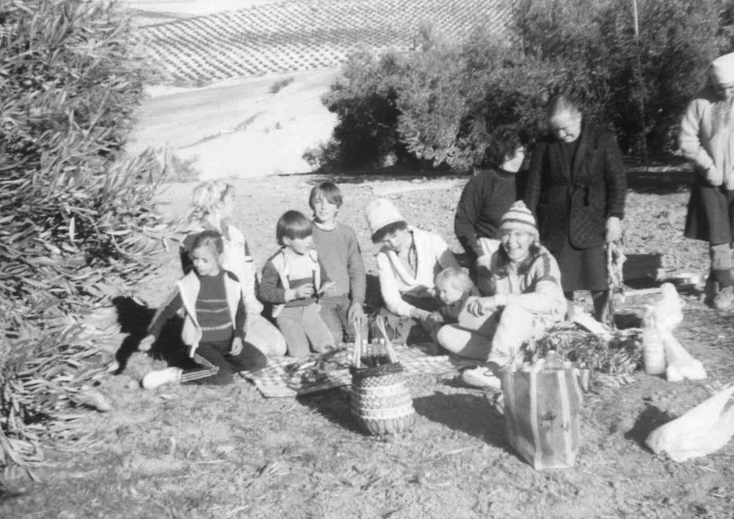 Roscolivo: Bizcocho con aceite de oliva virgen extra